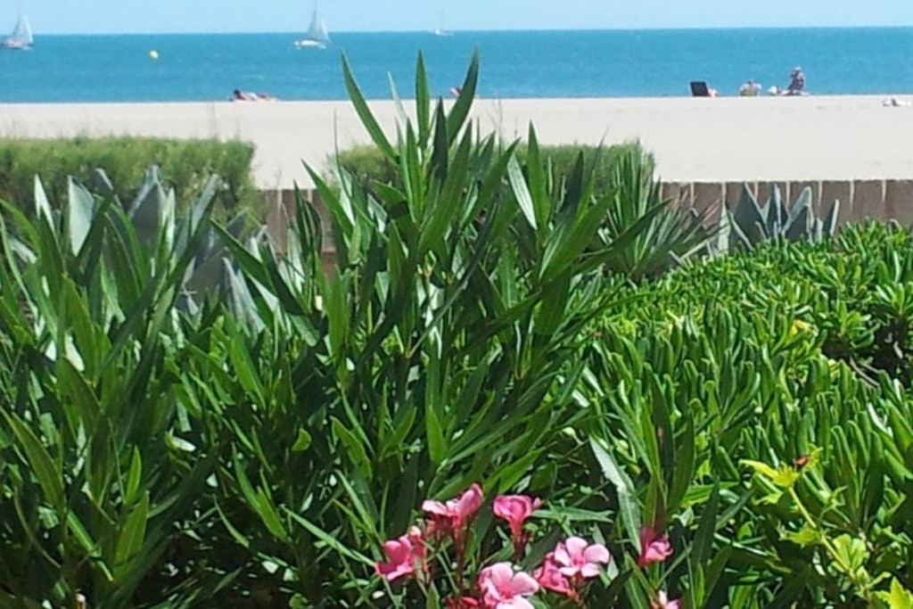 Cros Mer Et Piscine Saint-Pierre-la-Mer  Экстерьер фото